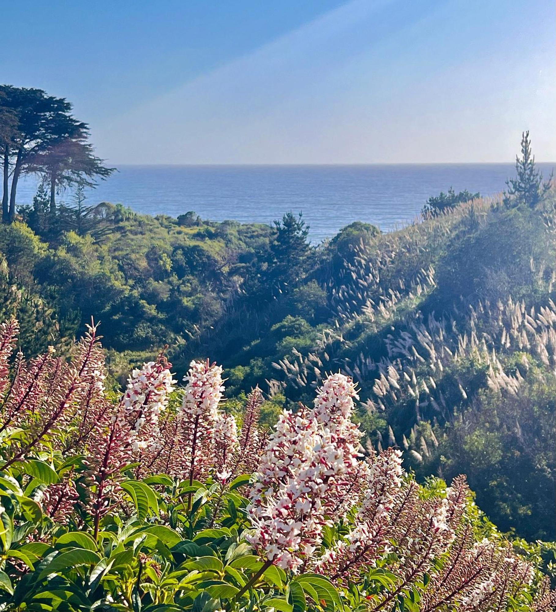 Royal Villa - Ocean View - Heated Pools - Seascape'S Best 1 Bedroom - 3 Beds - End Unit Aptos Exterior foto